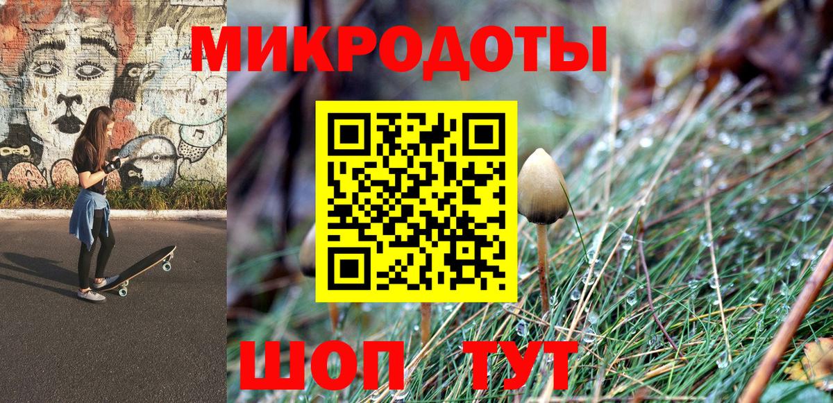 Коряжма  Псилоцибиновые грибы Psilocybine cubensis  Вход с VPN 
